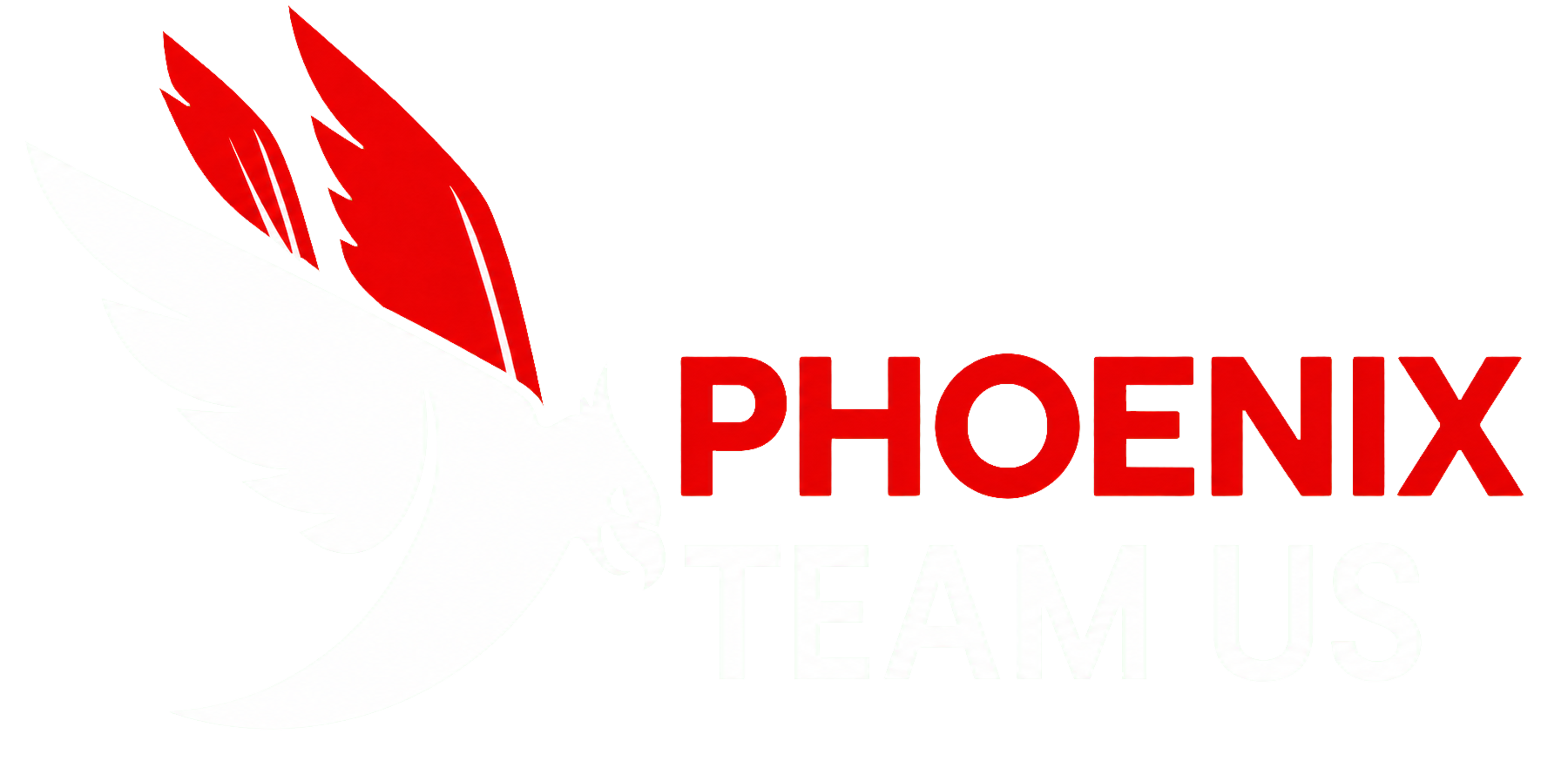 PHOENIX TEAM US