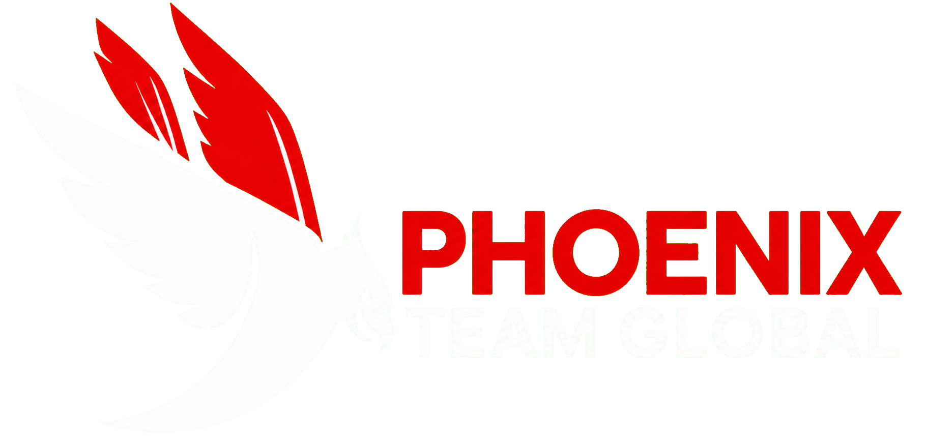 PHOENIX TEAM GLOBAL
